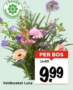 Vomar Voordeelmarkt Veldboeket Luna aanbieding