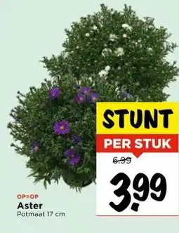 Vomar Voordeelmarkt Aster aanbieding