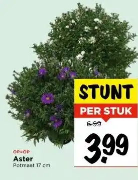 Vomar Voordeelmarkt Aster aanbieding