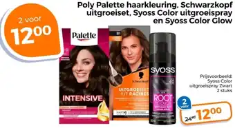 Trekpleister Poly Palette haarkleuring, Schwarzkopf uitgroeiset, Syoss Color uitgroeispray en Syoss Color Glow aanbieding