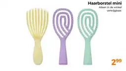 Trekpleister Haarborstel mini aanbieding
