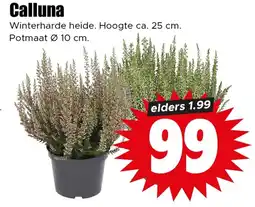 Dirk Calluna aanbieding