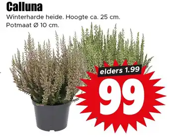 Dirk Calluna aanbieding