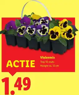 Lidl Violenmix aanbieding