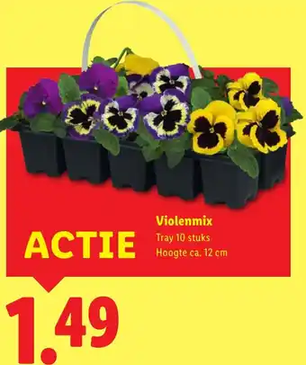 Lidl Violenmix aanbieding