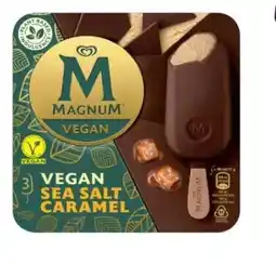 Budget Food Magnum Sea Salt Caramel Vegan aanbieding