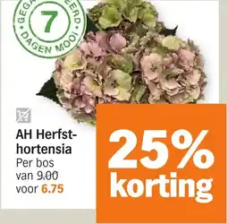 Albert Heijn AH Herfsthortensia aanbieding