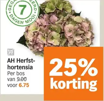 Albert Heijn AH Herfsthortensia aanbieding
