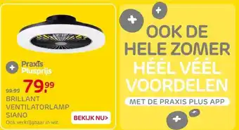 Praxis BRILLANT VENTILATORLAMP SIANO aanbieding