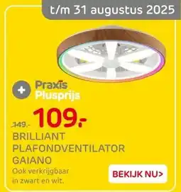 Praxis BRILLIANT PLAFONDVENTILATOR GAIANO aanbieding