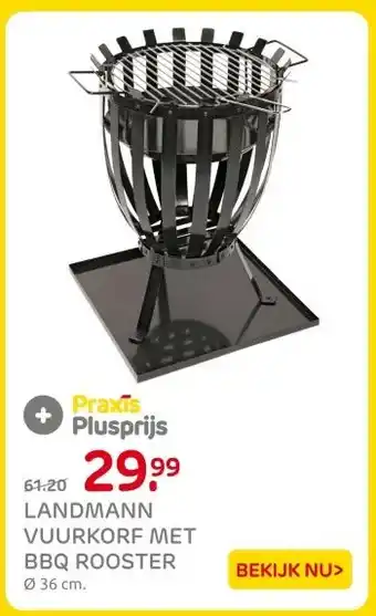 Praxis LANDMANN VUURKORF MET BBQ ROOSTER aanbieding