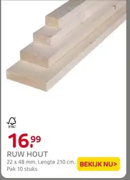 Praxis RUW HOUT aanbieding