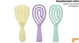 Trekpleister Haarborstel mini aanbieding