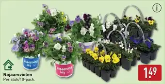 ALDI Najaarsviolen aanbieding