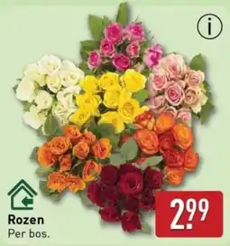 ALDI Rozen aanbieding