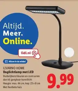 Lidl Daglichtlamp met LED aanbieding