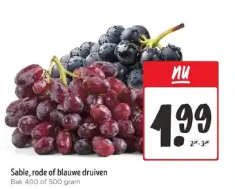 Jumbo Sable, rode of blauwe druiven aanbieding