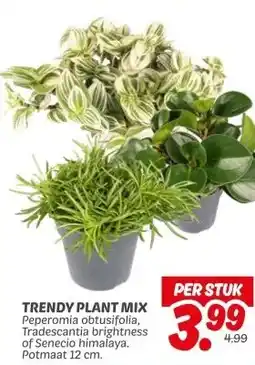Dekamarkt TRENDY PLANT MIX aanbieding