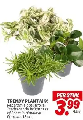 Dekamarkt TRENDY PLANT MIX aanbieding