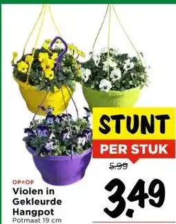 Vomar Voordeelmarkt Violen in Gekleurde Hangpot aanbieding