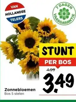 Vomar Voordeelmarkt Zonnebloemen aanbieding