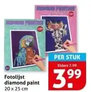 Hoogvliet Fotolijst diamond paint aanbieding