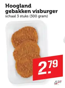 Dagwinkel Hoogland gebakken visburger aanbieding