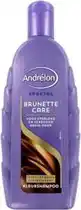 Bol.com Andrélon Shampoo Brunette Care 300 ml aanbieding