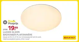Praxis LUCIDE OLSON BADKAMER PLAFONNIÈRE aanbieding