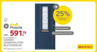 Praxis CANDO HARDHOUTEN BUITENDEUR aanbieding