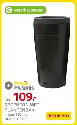 Praxis REGENTON MET PLANTENBAK aanbieding