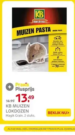 Praxis KB MUIZEN LOKDOZEN aanbieding