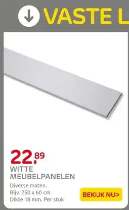 Praxis WITTE MEUBELPANELEN aanbieding