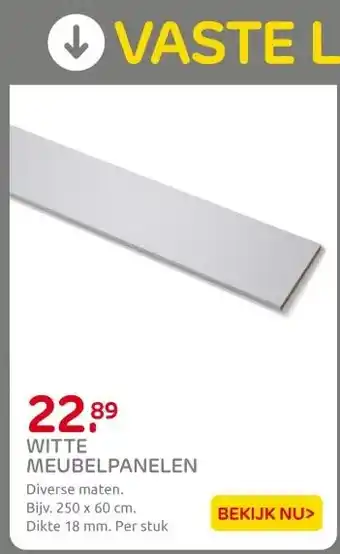 Praxis WITTE MEUBELPANELEN aanbieding