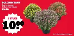 MCD Supermarkt BOLCHRYSANT aanbieding