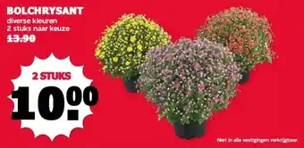MCD Supermarkt BOLCHRYSANT aanbieding