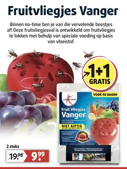Lucovitaal Fruitvliegjes Vanger aanbieding