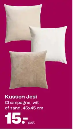 Kwantum Kussen Jesi aanbieding