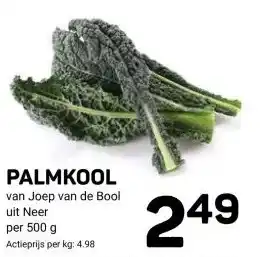 Ekoplaza PALMKOOL aanbieding