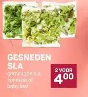Ekoplaza GESNEDEN SLA aanbieding