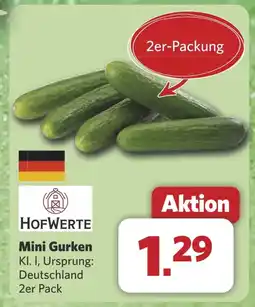 Combi Mini Gurken aanbieding