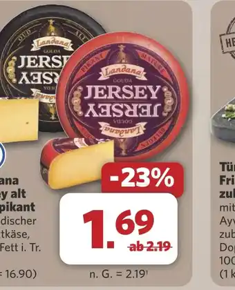 Combi Landana Jersey alt oder pikant aanbieding