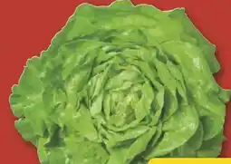 Combi Deutscher Kopfsalat aanbieding