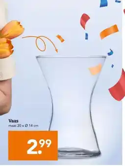 Blokker Vaas aanbieding