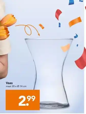 Blokker Vaas aanbieding