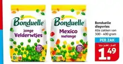 Hoogvliet Bonduelle diepvries aanbieding