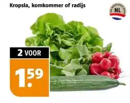 Poiesz Kropsla, komkommer of radijs aanbieding