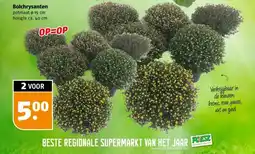 Poiesz Bolchrysanten aanbieding