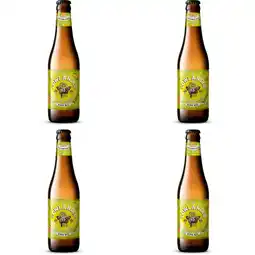 Albert Heijn Lowlander Citrus blonde 4-pack aanbieding