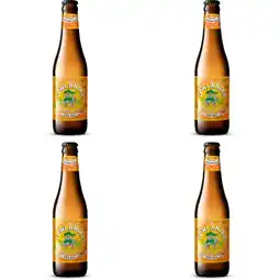 Albert Heijn Lowlander Mango IPA 4-pack aanbieding